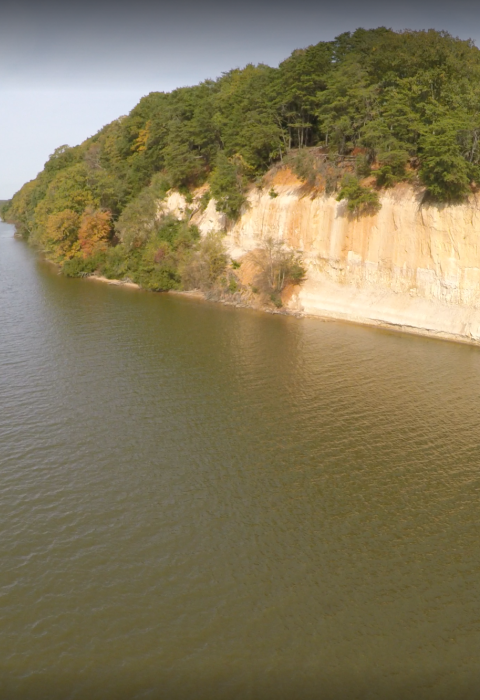 White cliffs capped with bright green trees. The cliffs are adjacent to a wide river. 