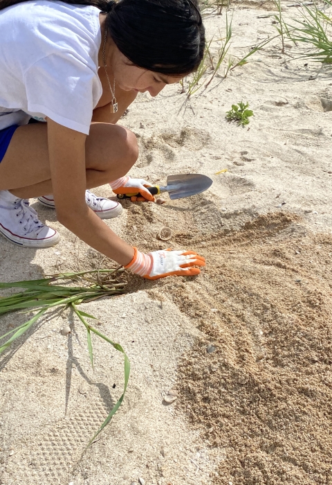young person wearing gloves holds trowel and plants in sand