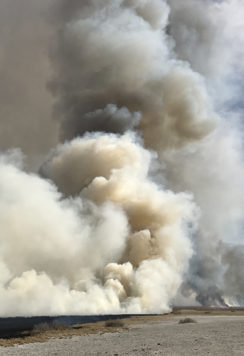 smoke fills 2/3 of photo