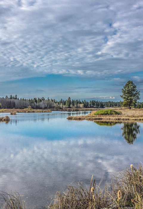 A cloud filled sky is reflected on a still pond. Conifer trees dot the shoreline