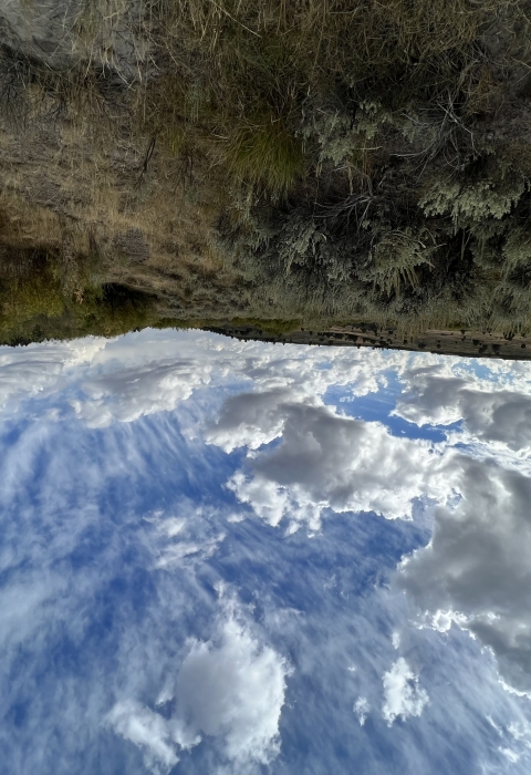 A beautiful sagebrush landscape with a cloudy sky and green sagebrush and grass in the foreground can be seen.