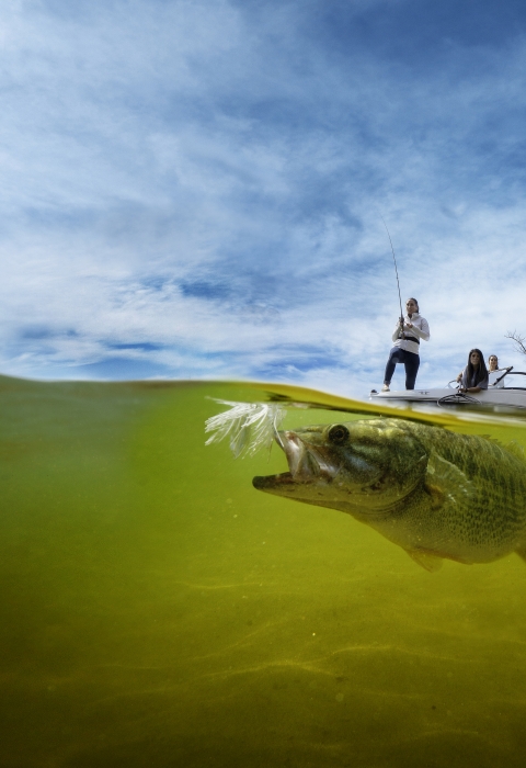 A fish swims under the surface of the water, following a fishing lure. Two people fish from a boat above the surface of the water.