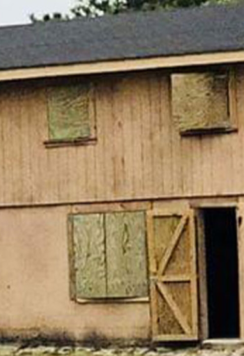 Combat town at Camp Lejeune with a pine tree that is home to a red-cockaded woodpecker cluster.