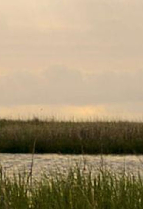 Clouds hang over a salt marsh on the Altamaha River