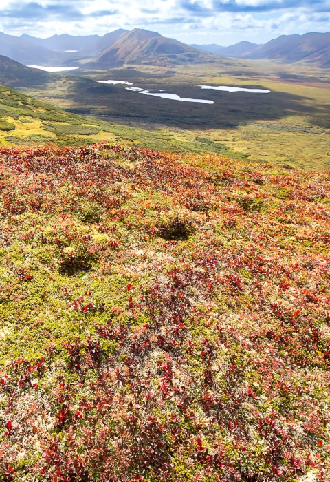 a hillside with footprints