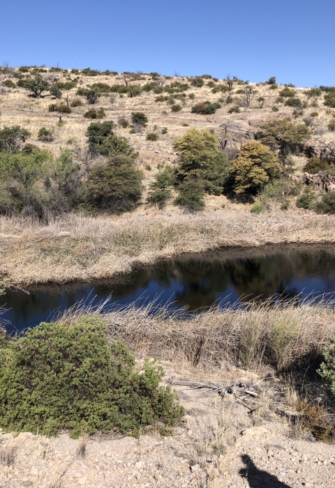 Natural spring in a desert landscape.