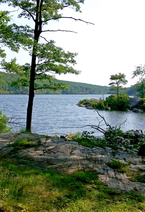 A view of the forested hills leads to a large open body of water below