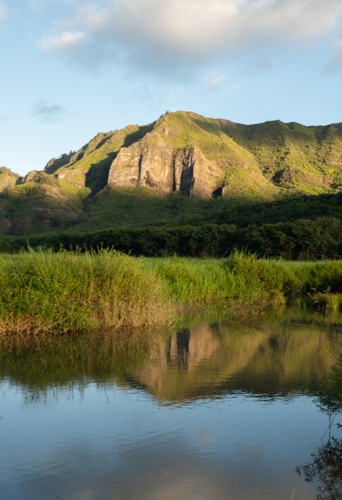 A wetlands pond. There is a mountain behind the pond lit in the sun. The mountain is reflected in the water. 