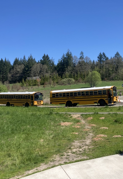 Four buses are parked in a row in a parking lot next to a grassy field.