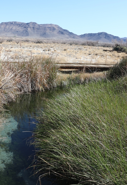 From top to bottom, purple mountains, tan grasses and then blue water with green grasses flow.