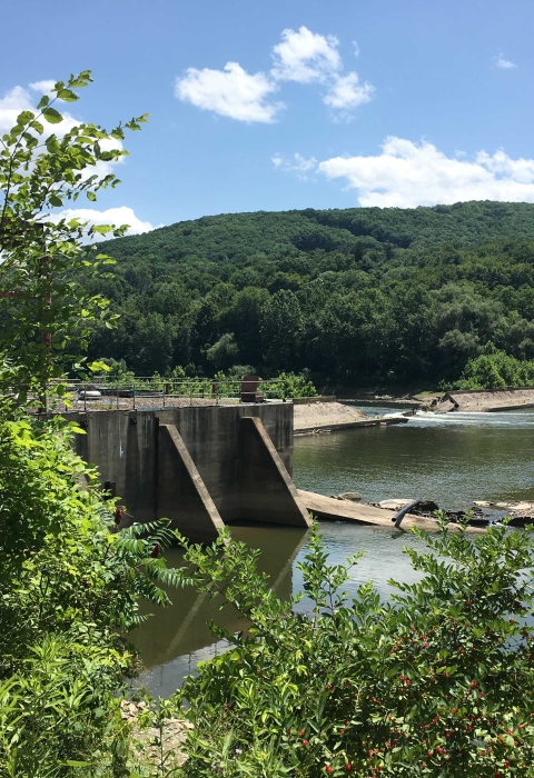 Cement dam in water surrounded by trees