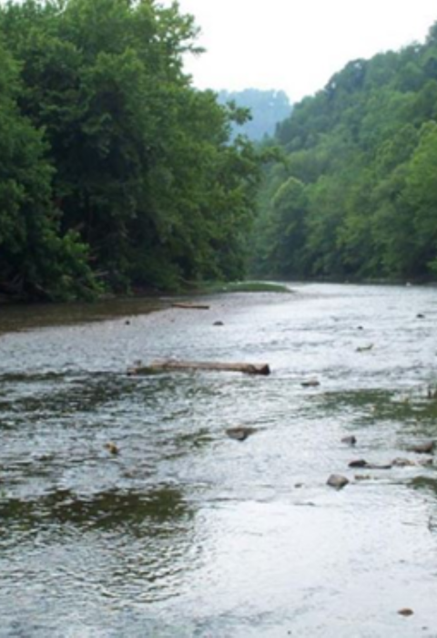River water running between two banks of green trees under white cloudy sky 