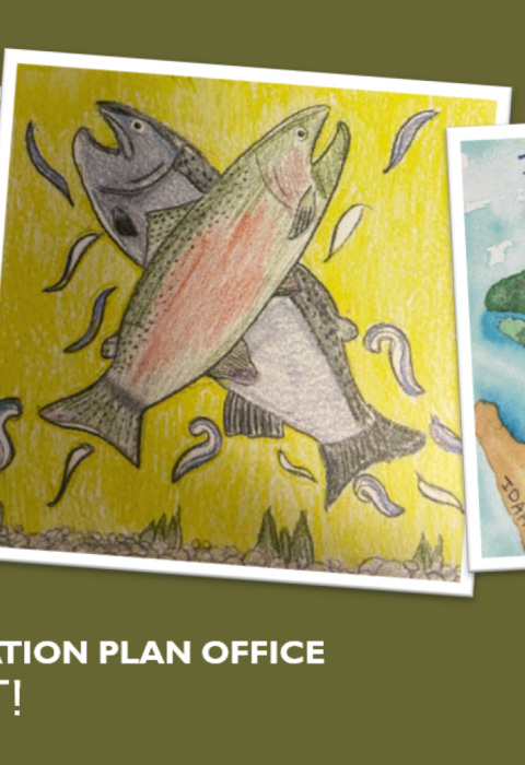 A photo collage of three drawings of salmon with the text "Salmon for the future, Lower Snake River Compensation Plan Office K-12 Artwork Contest!