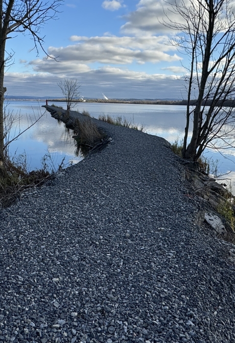 a stone jetty with a few sparse trees cuts through a still lake reflecting blue skies and clouds