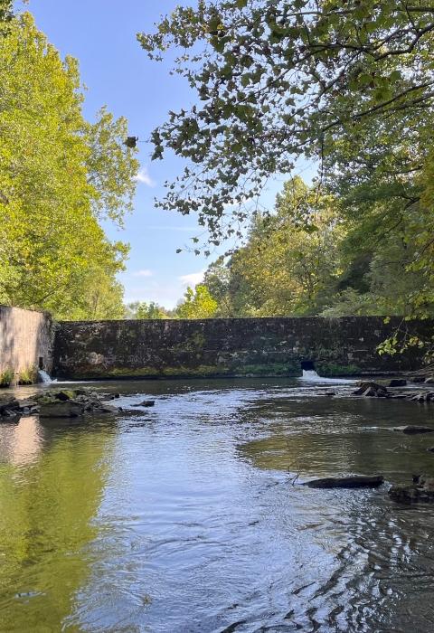 A man uses a special bucket to look for mussels in a river at the base of a 12-foot tall dam
