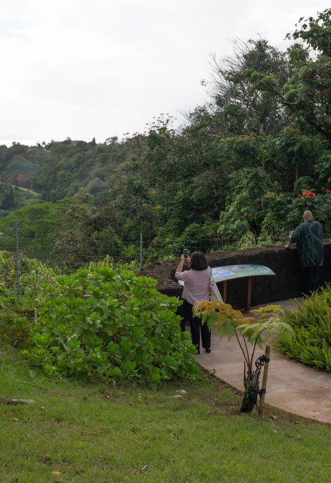 Five People stand on a circular viewpoint lush with greenery. The viewpoint overlooks a bay and mountainous coastline. One woman is taking a photo with her phone. 
