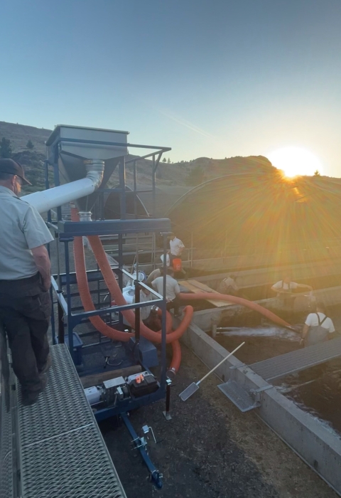 A view of a man standing on a walkway at a fish hatchery above water filled raceways with people working below. The sun is rising over the hills in the distance.