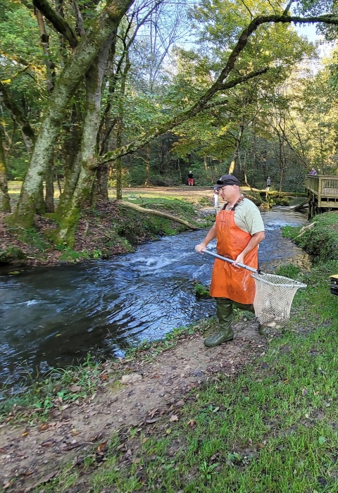 Jerry Short stocks Hatchery Creek with a net full of rainbow trout