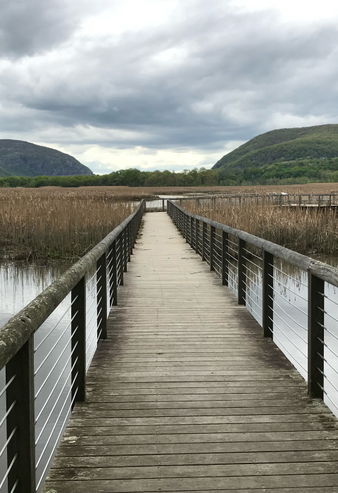 a boardwalk leads into a vast marsh with rolling mountains in the distance