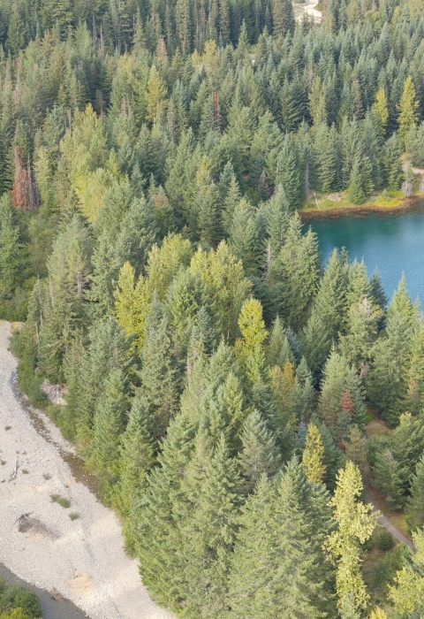 An aerial view of a dry creek on the left and a blue body of water on the right, separated by green trees.