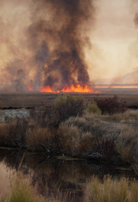 Wildland firefighters patrol a prescribed fire by UTV. Islands of smoke and flames dot the background of the Great Basin high desert landscape. 