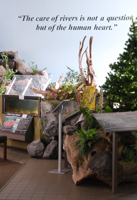 A wood and fiberglass replica of a stream called a Living Stream. 