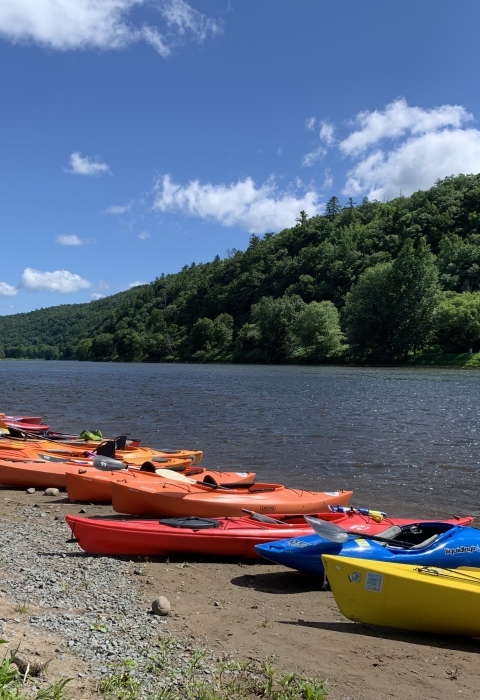 colorful kayas line the bank of a river with trees on the opposite bank