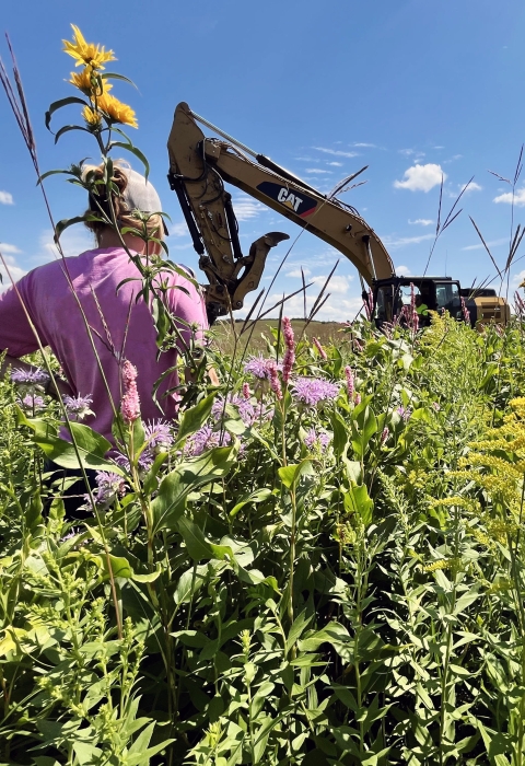 Person standing with their back to the camera in tall flowering plants and grasses