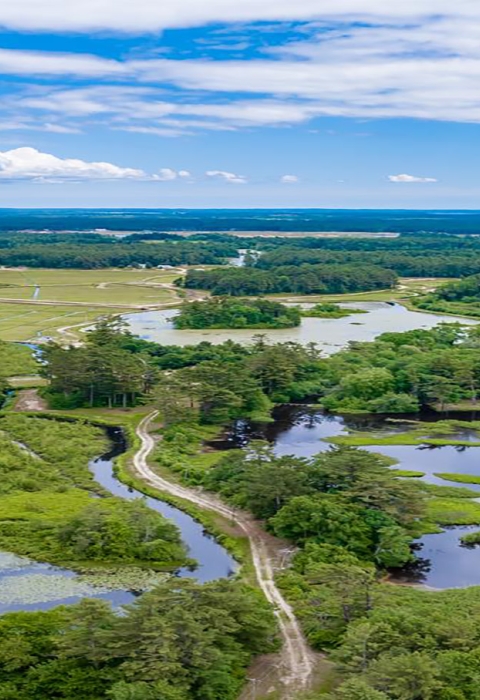 An aerial view of Weweantic River wetlands
