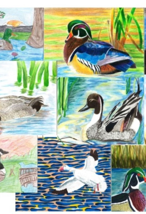 2025 First Place Winners