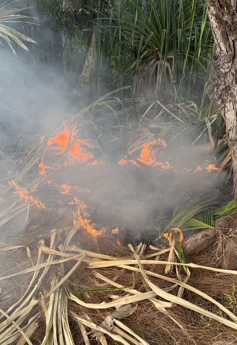 Active ground fire from charcoal