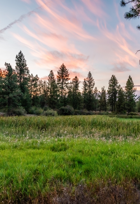 A wetland at Turnbull NWR during sunset