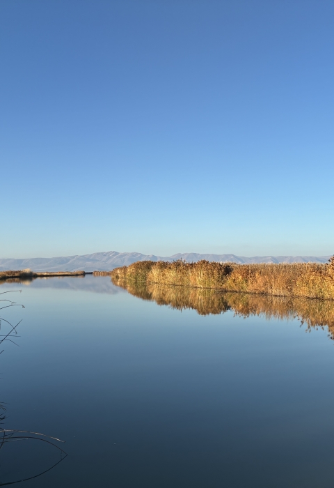 Image of Bear River Migratory Bird Refuge's Unit 2 in 2025