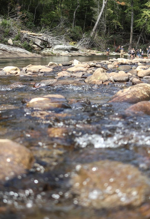 Group of students in a rocky river