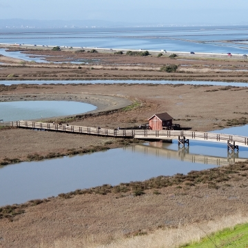 Tidal marsh with a boardwalk bridge trail over a slough and the greater San Francisco Bay in the background.