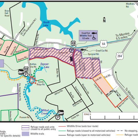 A complex map showing the refuge boundary, roads, and walking trails, colored in purple, green, and yellow to indicate access. For accessibility, please call 252-473-1131.