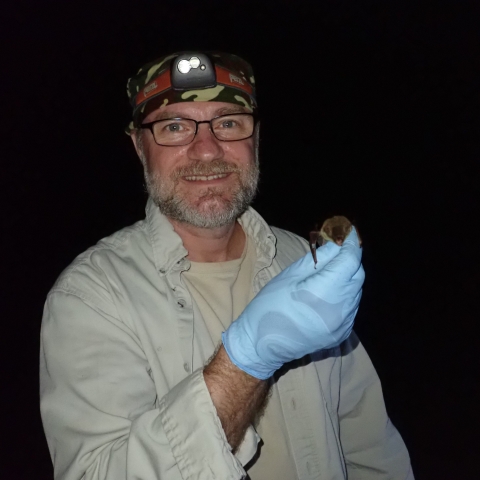 Gary Jordan holding northern long-eared bat