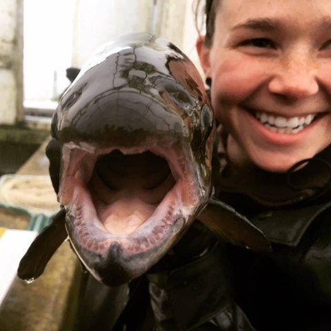 Katie Marony (biotech at Nashua National Fish Hatchery) holding a large adult Atlantic salmon