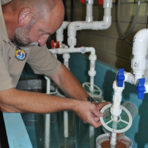 Mitchell Pickelsimer_Chattahoochee Forest NFH_