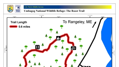 Map of the Roost Trail at Umbagog