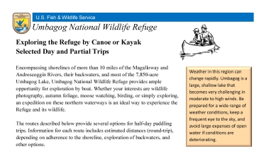 Selected day trips at Umbagog 