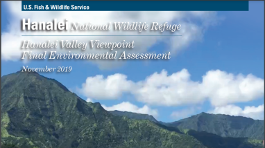 Book cover with photo of wetland habitat and waterbirds