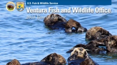 Magazine with sea otters on cover