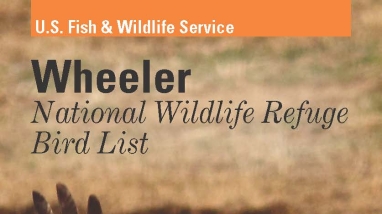 An image of the cover for the bird brochure.