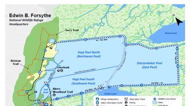 A map of Edwin B. Forsythe National Wildlife Refuge Headquarters, Facilities, Wildlife Drive, and Trails.