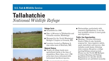 An image of the cover for the refuge fact sheet.
