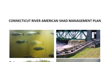 Connecticut River American Shad Plan 2020 cover page