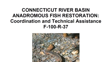 Connecticut River Basin Annual Report 2020 cover page