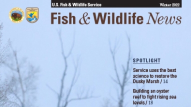 cover of Fish & Wildlife News