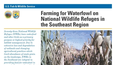 An Image of the Farming for Waterfowl in the Southeast fact sheet.